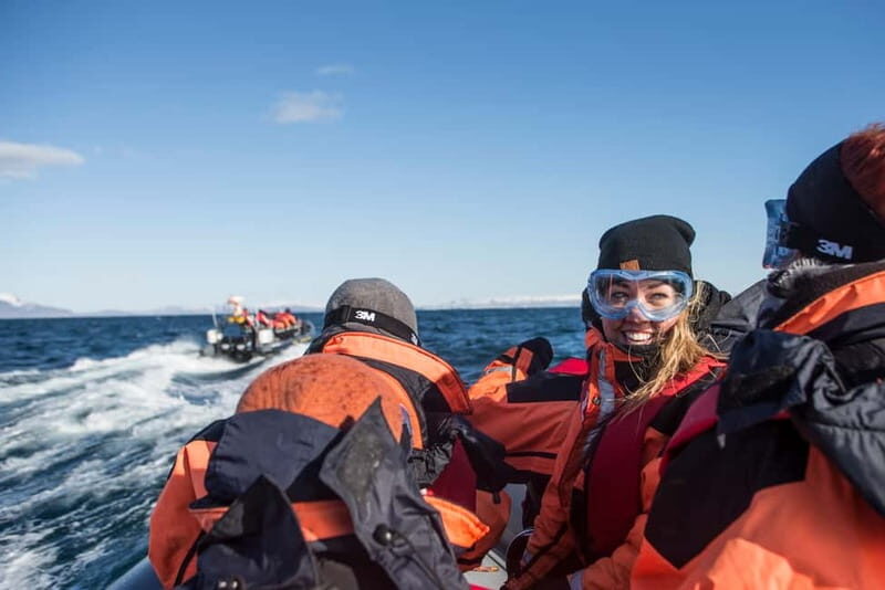 Reykjavik: Whale and Puffin Watching RIB Boat Tour - Why This Tour Might Be Perfect for You