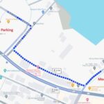 Reykjavik: Whale & Marine Adventure Tour - What You Might Experience