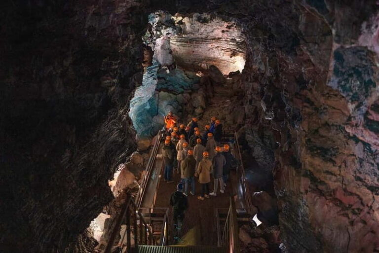 Reykjavik: Whale Watching and Lava Tunnel Combo Tour - The Whale Watching Experience