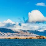 Reykjavík: Whale Watching and Marine Life Cruise - Frequently Asked Questions