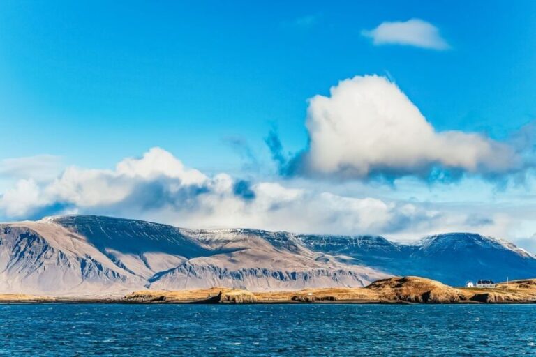 Reykjavík: Whale Watching and Marine Life Cruise - Frequently Asked Questions