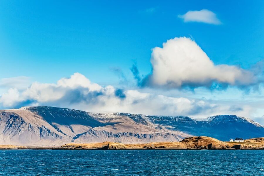 Reykjavík: Whale Watching and Marine Life Cruise - Frequently Asked Questions