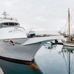 Reykjavík: Whale Watching Cruise on the Amelia Rose Yacht - An In-Depth Look at the Whale Watching Tour in Reykjavik