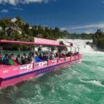 Rhine Falls & Stein am Rhein Private Day Trip - Why This Tour Stands Out