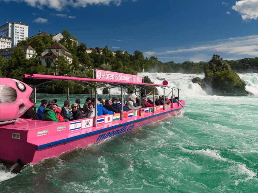 Rhine Falls & Stein am Rhein Private Day Trip - Why This Tour Stands Out