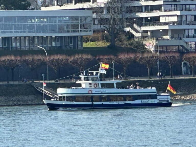 RhineRiverBoatTour from Bonn to Königswinter with Live Guide - An In-Depth Look at the Rhine River Boat Tour