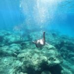 Rhodes: Anthony Quinn Bay E-Bike Tour with Snorkeling - What We Loved About This Tour