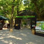 Rhodes: Butterfly Valley Half-Day Bus Trip - Exploring Butterfly Valley