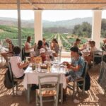 Rhodes City Tour, Cooking Class & Wine Tasting - Exploring Rhodes: The Delights of the City