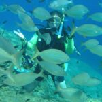 Rhodes: Diving Adventure for Beginners and Experts - Why This Tour Stands Out