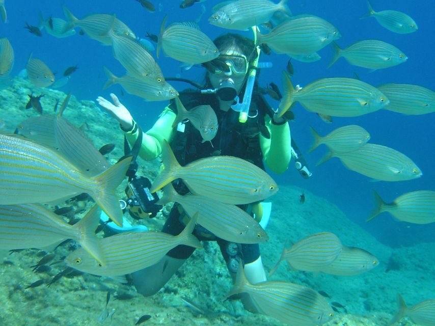 Rhodes: Diving Adventure for Beginners and Experts - Why This Tour Stands Out