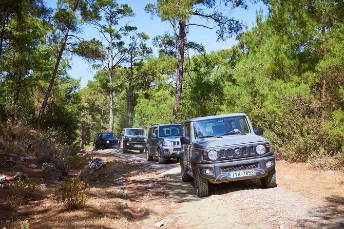 Rhodes Explorer Self-Drive Expedition and Culinary Odyssey - Who Should Consider This Tour?