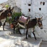Rhodes, Lindos and Medieval City Guided Tour from Cruise Port - A Detailed Look at the Rhodes, Lindos & Medieval City Tour