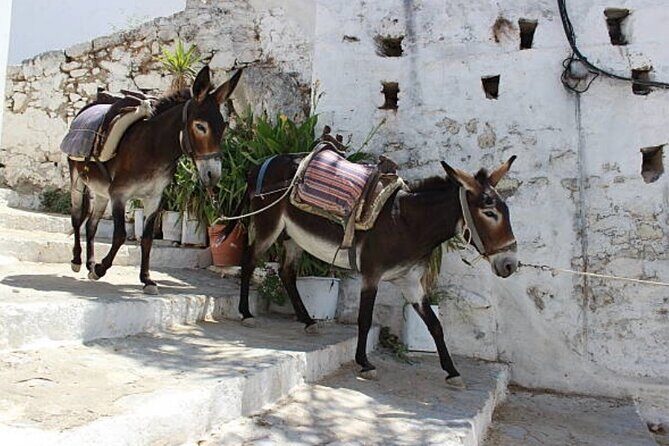 Rhodes, Lindos and Medieval City Guided Tour from Cruise Port - A Detailed Look at the Rhodes, Lindos & Medieval City Tour