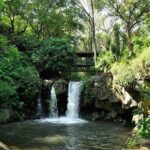 Rhodes Private Tours - Final Thoughts