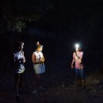Rhodes: Profitis Ilias Guided Sunset Hike - The Value in the Details
