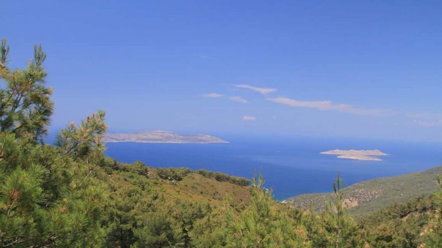 Rhodes: Safari with experienced driver - South pick ups - Authentic Experiences and Impressions from Travelers