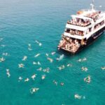 Rhodes Town: Boat Trip to Symi Island and St Marina Bay - Practical Aspects and Tips for Your Trip