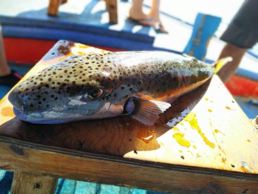 Rhodes Town: Fishing Boat Trip with Fish Meal and Swim Stops - Practical Details and What You Should Know