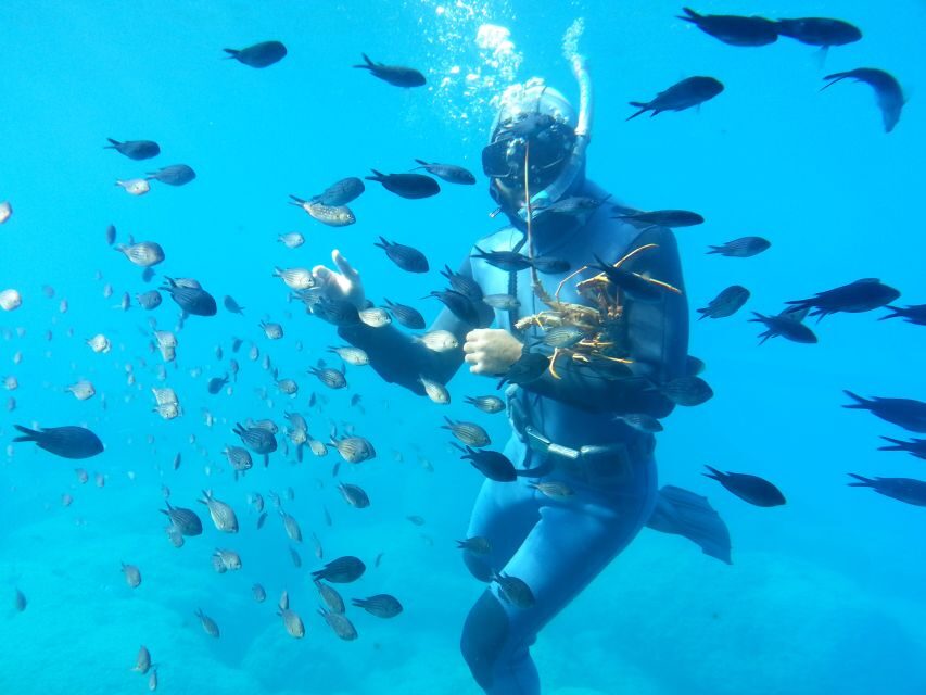 Rhodes Town: Yellow Submarine Cruise with Underwater Views - Why It’s Worth Considering