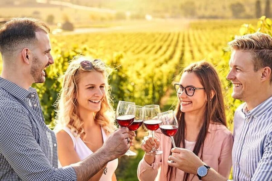 Rhodes: Wine Tasting in Embonas, the Land of Rhodian Wine - The Experience: Beyond Just Tasting