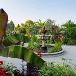 RHS Garden Wisley Entry Ticket - Authentic Experiences from Visitors