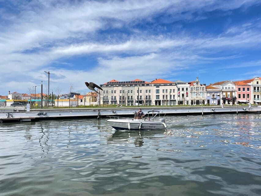 Ria de Aveiro Wakeboard Experience - Why Its Worth the Price