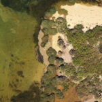 Ria Formosa: Armona and Culatra Islands 3-Hour Boat Tour - Practical Tips for Booking and Enjoyment