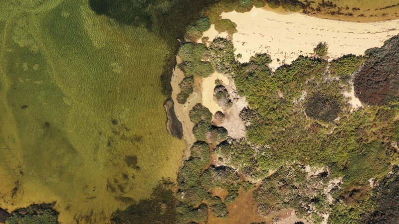 Ria Formosa: Armona and Culatra Islands 3-Hour Boat Tour - Practical Tips for Booking and Enjoyment