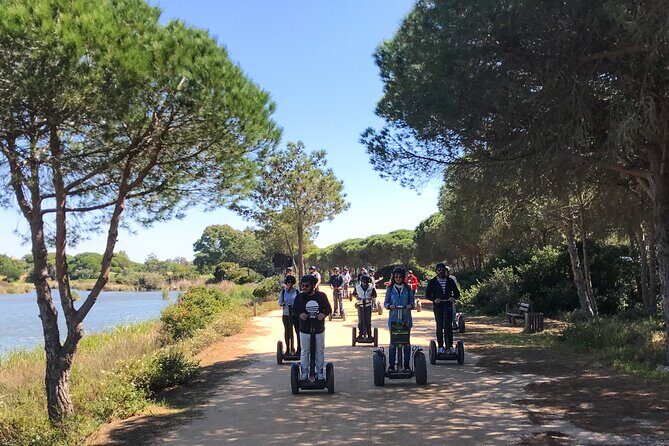 Ria Formosa Natural Park Birdwatching Segway Tour from Faro - Who Will Love This Tour?