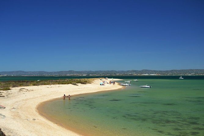 Ria Formosa: Private Boat Rental (from 2 to 8 hours) - Final Thoughts: Why This Tour Is a Smart Choice