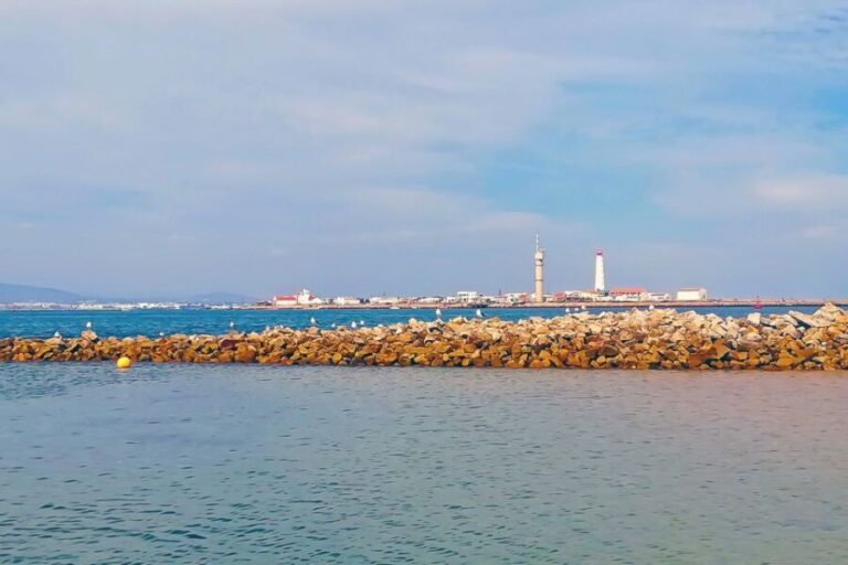 Ria Formosa: Sightseeing boat Tour from Olhão - The Sum Up