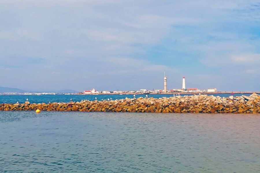 Ria Formosa: Sightseeing boat Tour from Olhão - The Sum Up