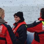 RIB Whale Watching Small-Group Boat Tour from Reykjavik - Visiting Puffin Islands: Close Encounters with Sea Birds