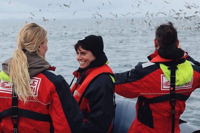 RIB Whale Watching Small-Group Boat Tour from Reykjavik - Visiting Puffin Islands: Close Encounters with Sea Birds