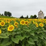 Ribagnac: Nico's gourmet hike - Authenticity and Unique Features
