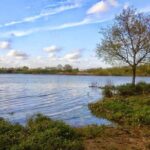 RIBATEJO - ALL INCLUDED, one day trip in Salvaterra de Magos and Escaroupim Tour - Exploring the Road to Ribatejo: What You Can Expect