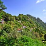 Ribeiro Frio / Portela - Levada Walk - A Deeper Look at the Ribeiro Frio / Portela Levada Walk