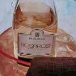 Rich tasting of Salento wines - A Deep Dive into the Salento Wine Tasting Experience