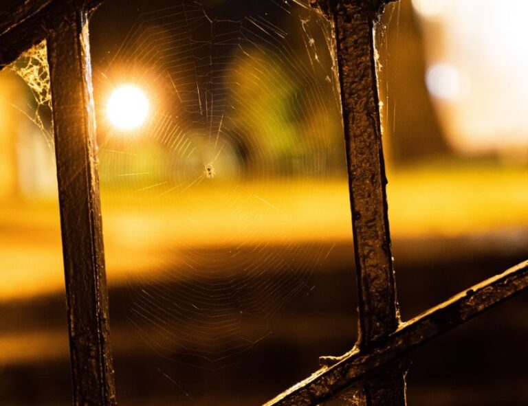 Richmond Ghosts Boos and Booze Haunted Pub Crawl - Exploring Richmond’s Haunted and Historic Nightlife