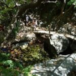 Richtis Gorge Private Guided Hiking Tour - What Makes This Tour Stand Out?