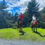 Ride A Horse To Gergeti Trinity Church And Summit A Mountain - Why This Tour Is a Great Choice for Travelers
