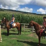 ride a volcano - go to the gardens in the woods - Authenticity and Value: What Makes This Tour Stand Out