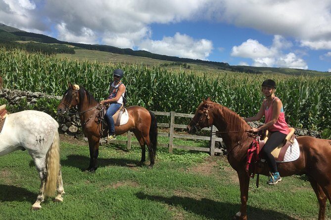 ride a volcano - go to the gardens in the woods - Authenticity and Value: What Makes This Tour Stand Out