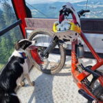 Ride Braovs Wild Trails with Daisy & Taste Local Life - An In-depth Look at the Experience