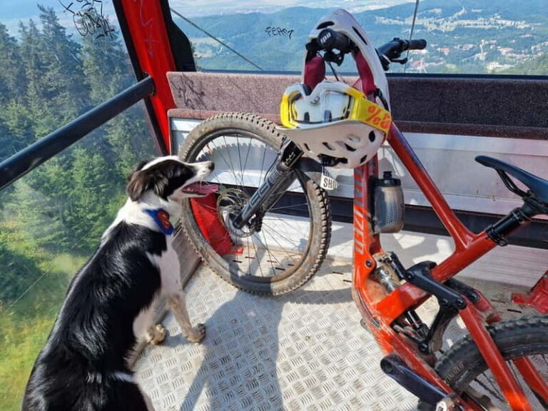 Ride Braovs Wild Trails with Daisy & Taste Local Life - An In-depth Look at the Experience