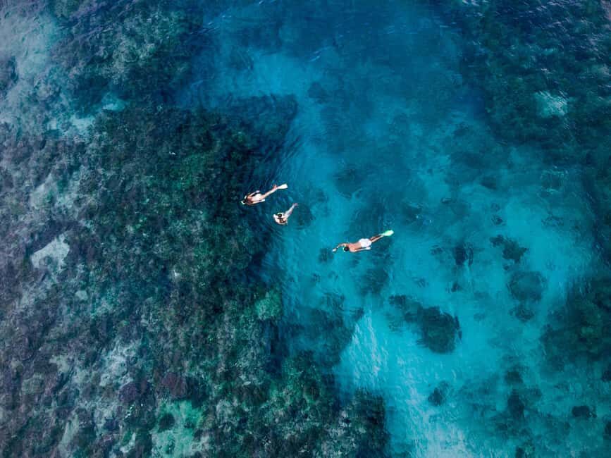 Ride & Slide by South Sea Cats - Half Day Snorkelling Trip - An In-Depth Look at the Ride & Slide Experience