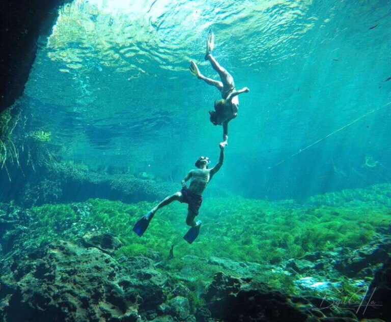 Ride to a life-changing cenotes tour - A Closer Look at the Cenote Adventure