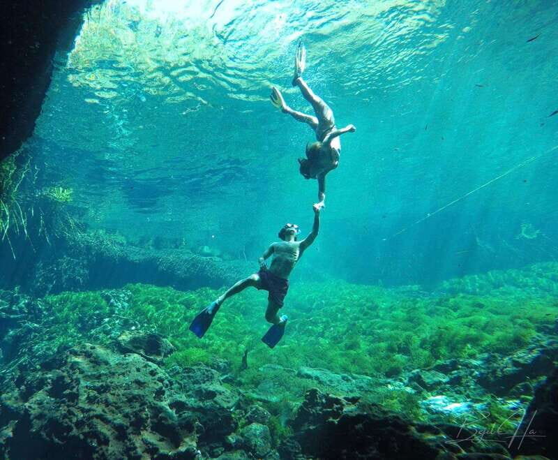 Ride to a life-changing cenotes tour - A Closer Look at the Cenote Adventure