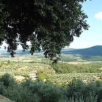 Ride your dream - tailor made tour with guide - Why This Tour Is a Great Choice